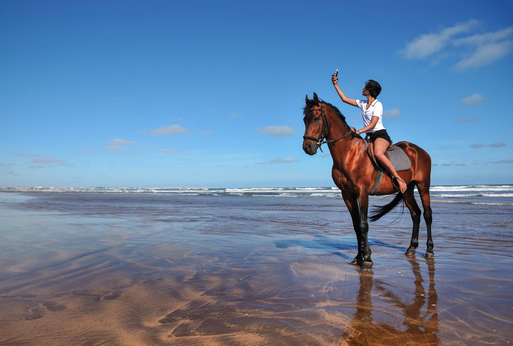 Pullman Mazagan Royal Golf & Spa El Jadida Exterior foto A horse on the beach