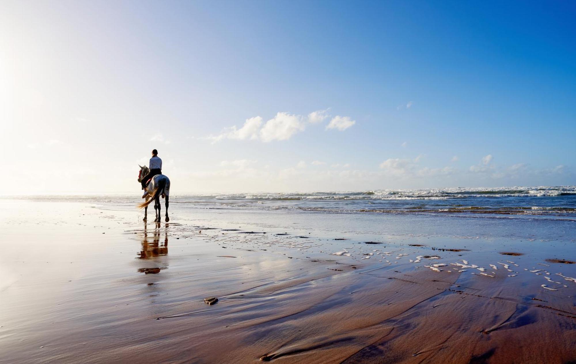 Pullman Mazagan Royal Golf & Spa El Jadida Exterior foto Beach in Tangier